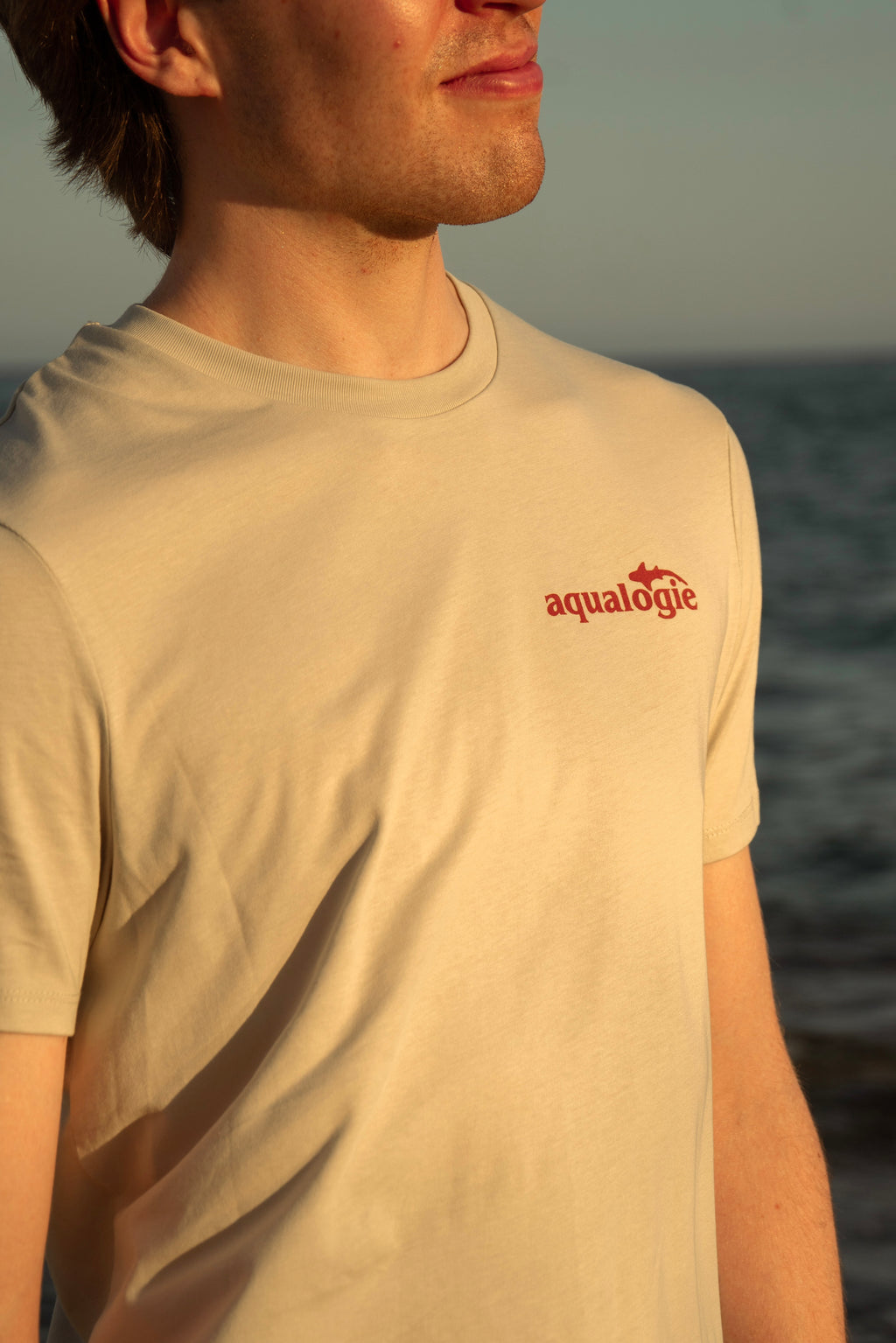 Shark Anatomy T-Shirt | Tiger Shark & Great White | Organic Cotton | Terracotta/ Burnt Orange