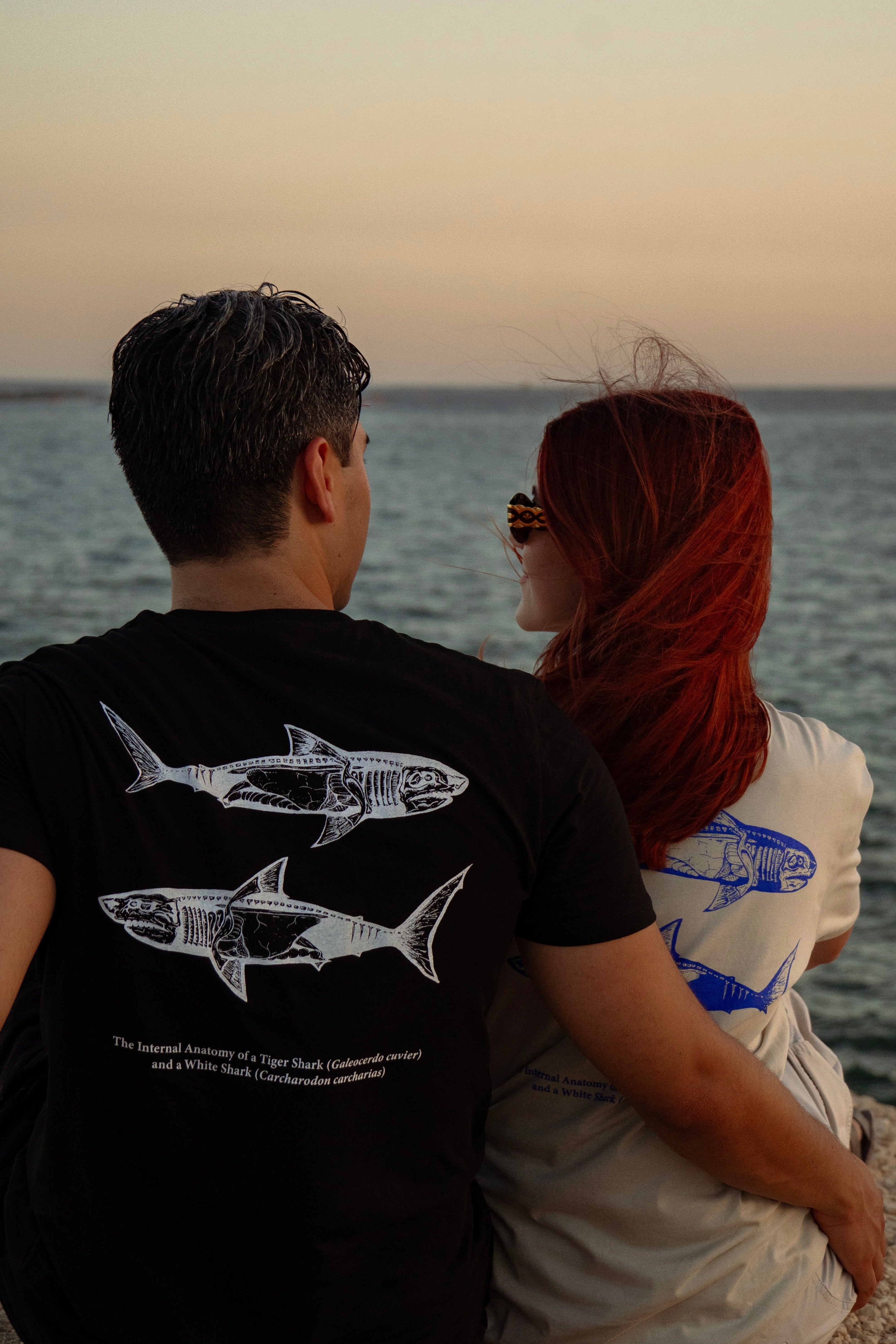 Shark Anatomy T-Shirt | Tiger Shark & Great White | Organic Cotton | Black and White